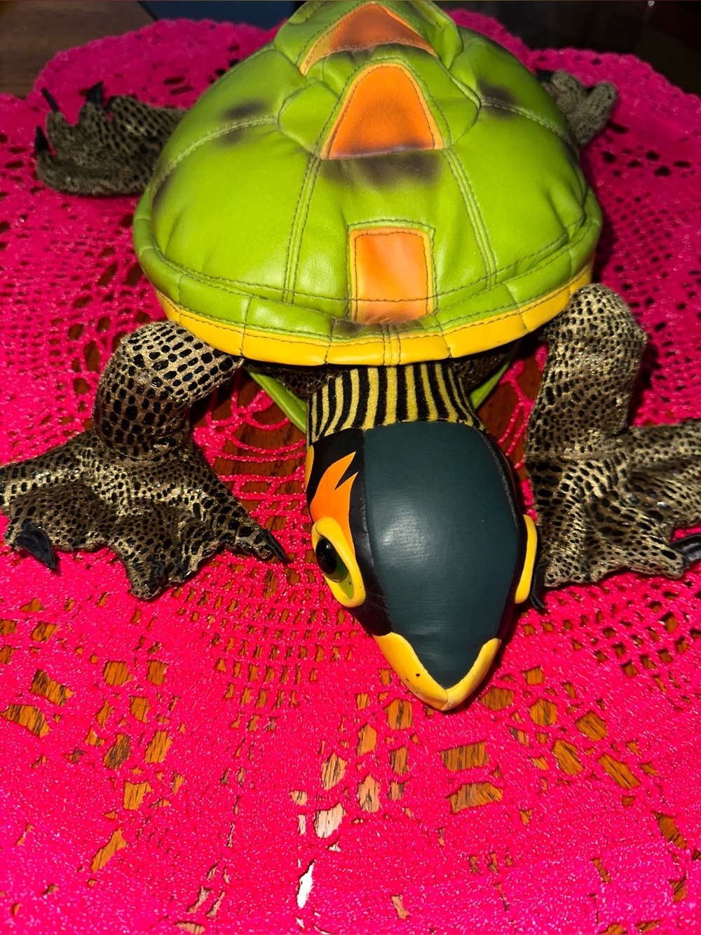 Cute Discovery Channel Turtle